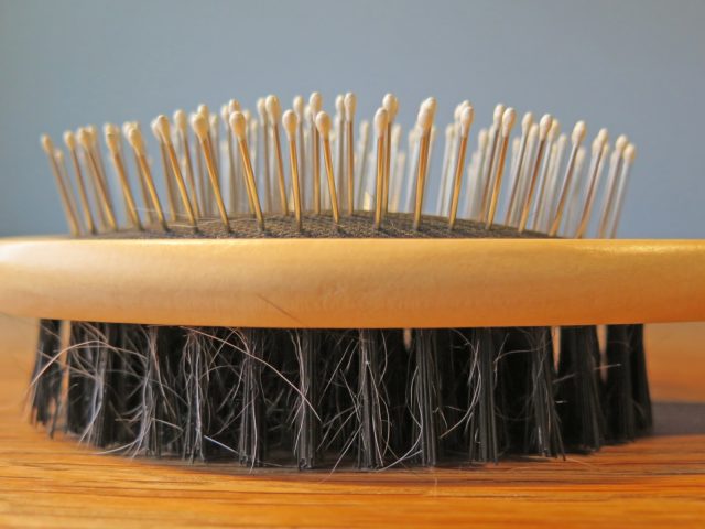 Brosse à nettoyer