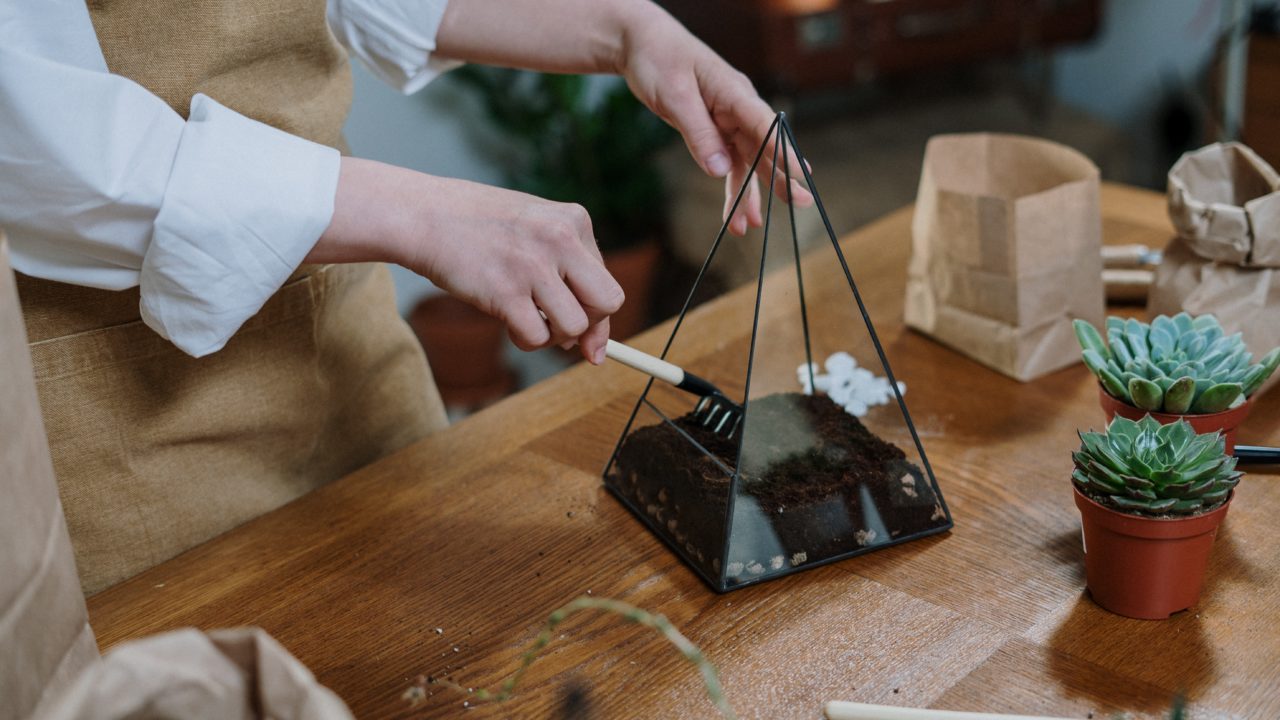 Comment créer un terrarium ?