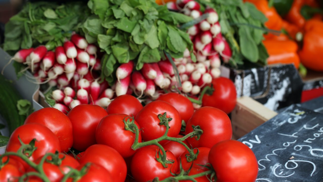 Le tour du jardin en 365 jours