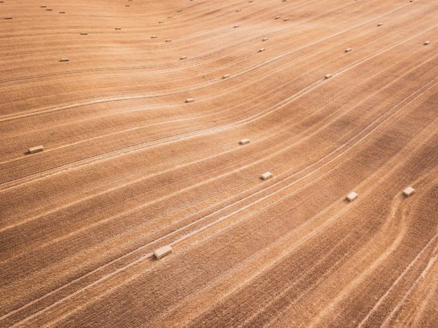 brown wooden surface with hole