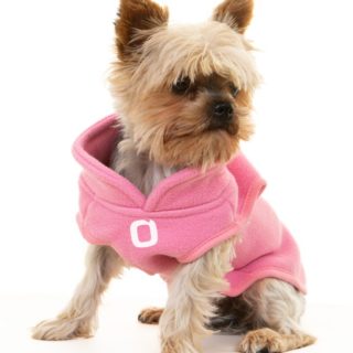 Chipie https://ouidoo.ch/wp-content/uploads/2024/01/Chipie-e1706559239128-320x320.jpg